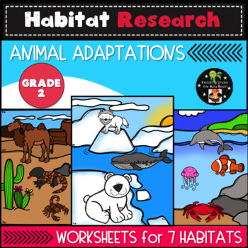 Second Grade Habitat Research - Animal Adaptations Worksheets | TPT