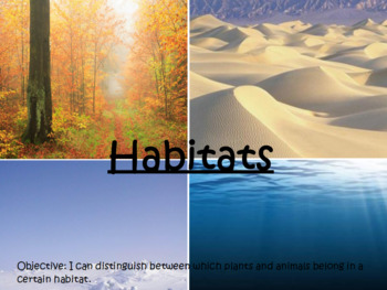 Preview of Habitats/Adaptations flipchart