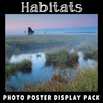 Preview of Habitats Vocabulary Posters | Science Display | Earth Science | Life Science