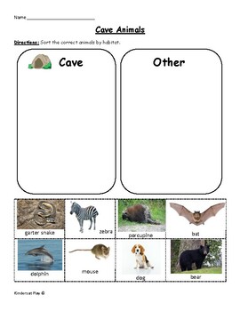 Preview of Habitats: Cave Animals