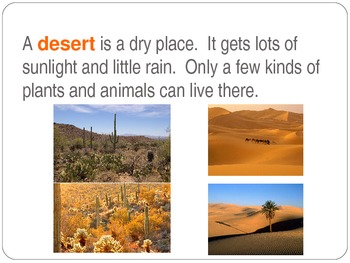 Preview of Habitats - Desert