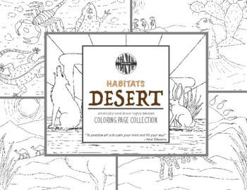 Preview of Habitats Desert Coloring Page Collection