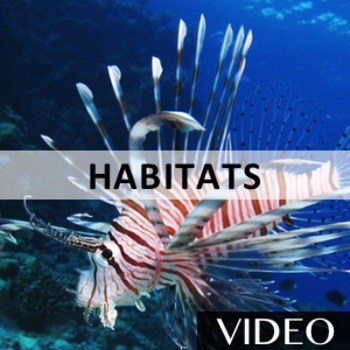 Preview of Habitats - Environment, Ecosystems, and Adaption Rap Video [2:54]