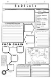 Habitats Food Chains Poster Template