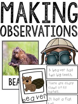 Preview of Habitats | Making Observations | Animal Research