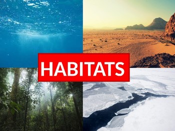 Preview of Habitats PowerPoint