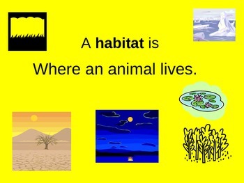 Preview of Habitats PowerPoint Presentation