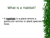 Habitats Powerpoint Lesson