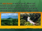 Habitats - Rain Forest