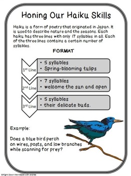 Haiku Poems: Honing Our Haiku Skills by Right Down the Middle with Andrea
