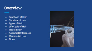 Preview of Hair and Fiber Analysis