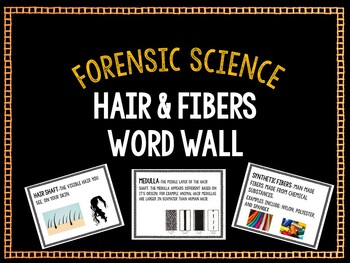 Preview of Hair and Fibers Word Wall