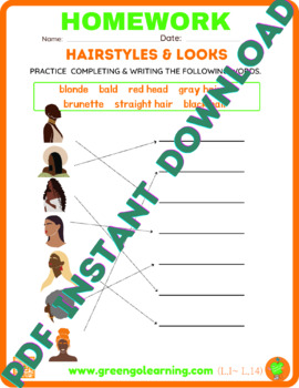 Preview of Hairstyles & Looks / ESL HOMEWORK / Level I / Lesson 14 -BLACK MONTH INSPIRATION