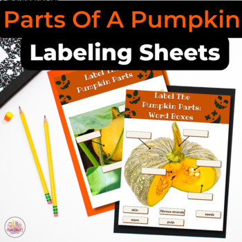 Preview of Parts Of A Pumpkin Labeling Worksheets | K, 1st, 2nd | Fall Science Center