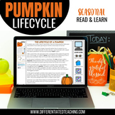Halloween Digital Pumpkin Life Cycle: October Life Cycle o