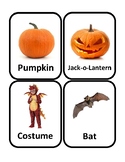 Halloween Flashcards *Real Photos!*