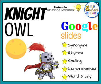 Preview of Halloween Knight Owl Christopher Denise Reading Comprehension Digital Resources