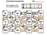 Halloween Math Maze: Roman Numerals Activity