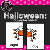 Halloween Opposites Antonyms Game and Recording Page