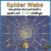Halloween STEM Spider Webs Reading and Challenge