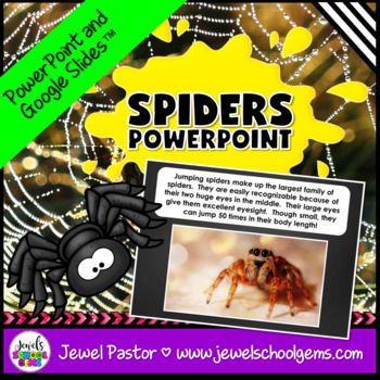 Preview of Halloween Science Activities | Spiders PowerPoint with Word Search Worksheet