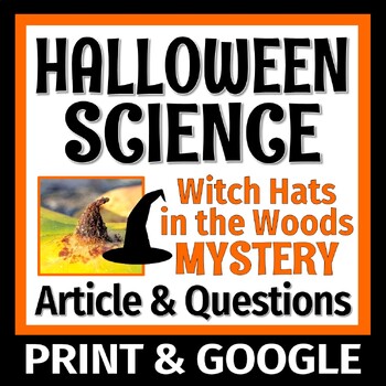 Preview of Halloween Science Activity Ecosystem Mystery Witch Hats in the Woods