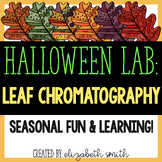 Halloween Science Lab Activity Leaf Chromatography