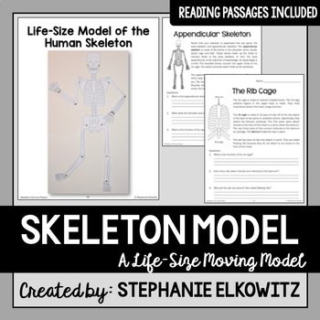 Preview of Human Skeleton Model Life Size Project