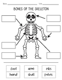 Halloween Skeleton Craft - Name the Bones Worksheet | Day 