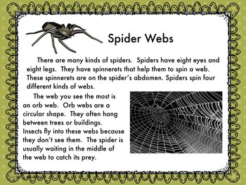 Six Surprising Facts About Spiderwebs - JSTOR Daily