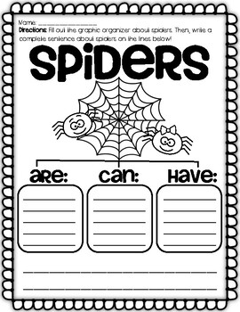 Preview of Halloween Spiders Are Can & Have Writing Activity