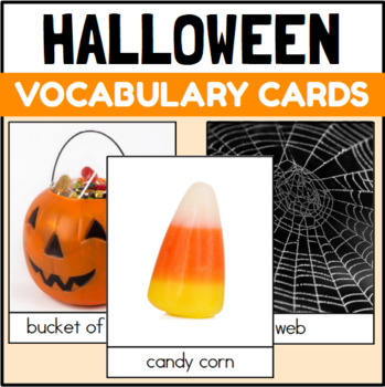 Preview of Halloween Themed Vocabulary Cards