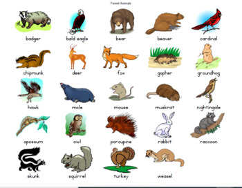 Forest Animals Word Wall Cards and Picture Dictionary Set by KinderReaders