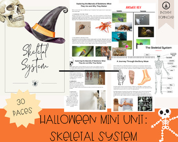 Preview of Halloween Unit: Skeletal System, Skeleton, Anatomy, Homeschool
