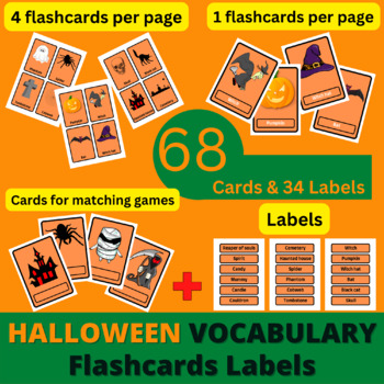 Preview of Halloween Vocabulary Flashcards Word Wall Labels