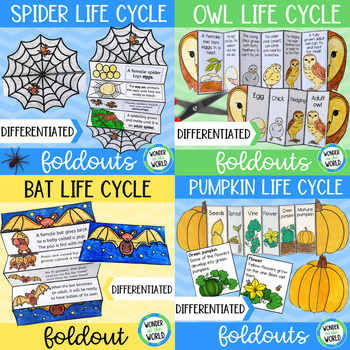 Preview of Halloween life cycle science foldable activities (pumpkin, spider, bat, owl)