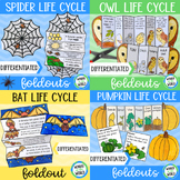 Halloween life cycle science foldable activities (pumpkin,