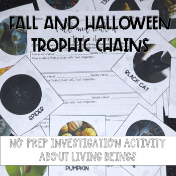 Preview of Halloween science activity: food web and food chain ecology task