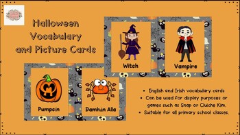 Preview of Halloween vocabulary cards in English and Irish