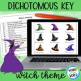 Halloween witch themed dichotomous key worksheets (digital