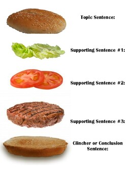 Hamburger Graphic Organizer Complete Guide