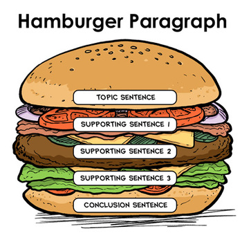 hamburger essay writing graphic organizer