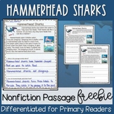 Hammerhead Sharks Nonfiction Passage FREEBIE