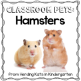 Hamster Classroom Pet