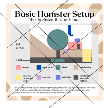 Preview of Hamster Pet Care Infographic Posters / Pet Corner Environment Setup Bundle