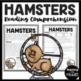 Hamsters Informational Text Reading Comprehension Workshee