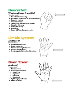 hand types show what your body/brain and character are like