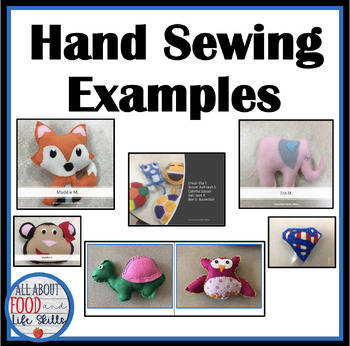 Preview of 44 Creative Hand Sewing Project Examples for FACS, FCS, and Life Skills