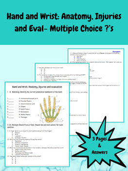 Preview of Hand and Wrist: Anatomy, Injuries, and Eval- Multiple Choice Questions Test/wkst