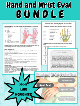 Preview of Hand and Wrist- Anatomy, Injuries and Evaluation Bundle